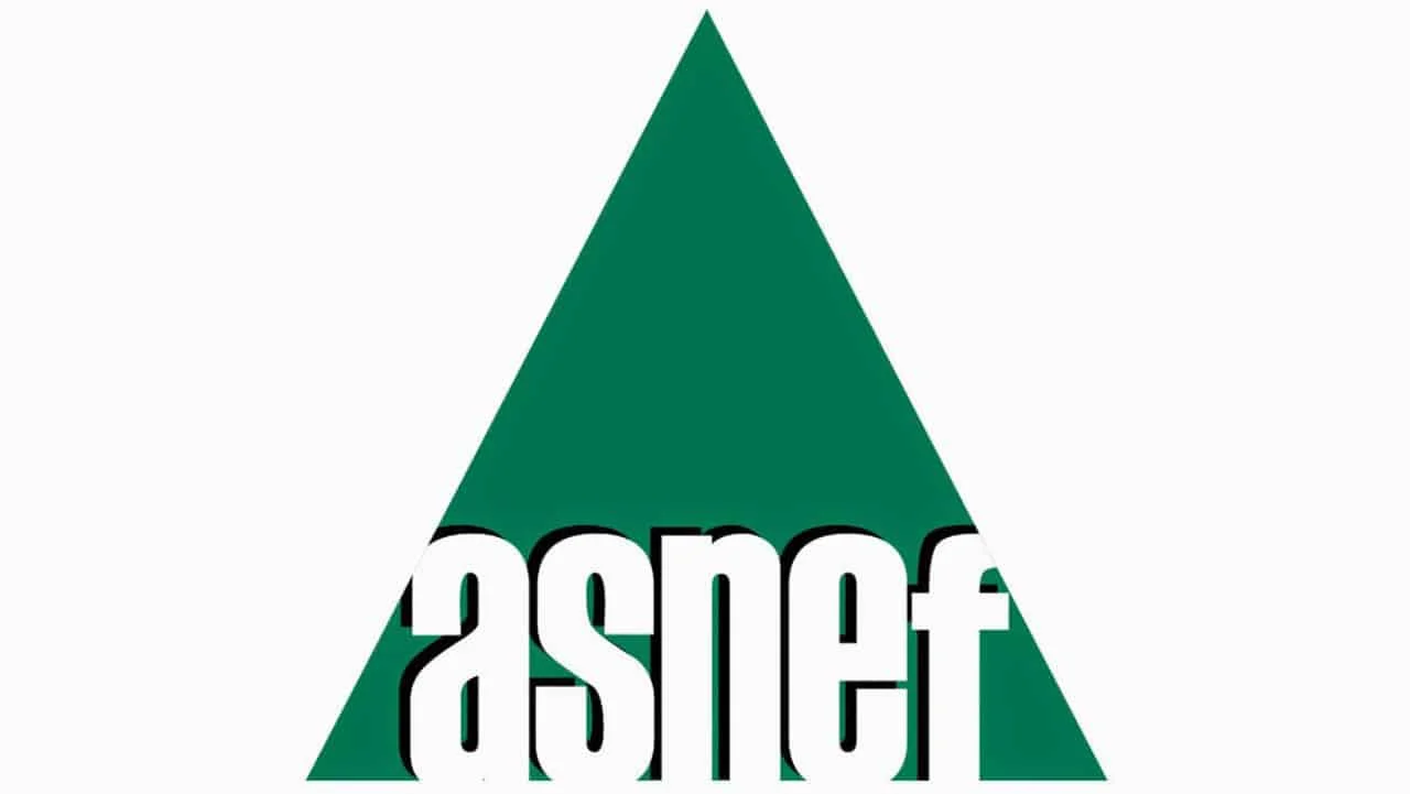 como saber si estoy en el asnef